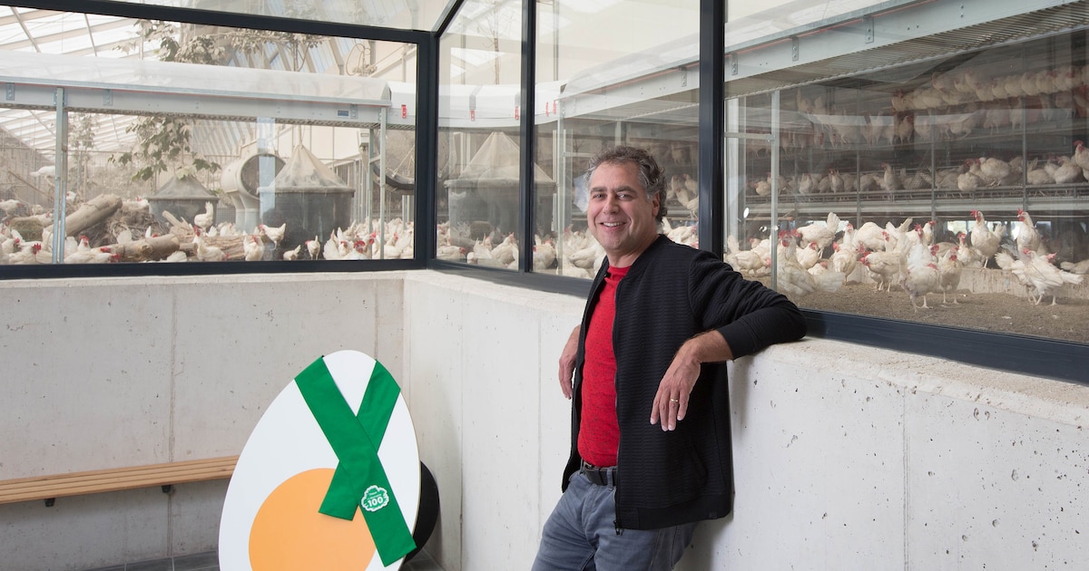 Kringlooplandbouw Deze Duurzame Boeren Gaan Het Gewoon Doen Trouw