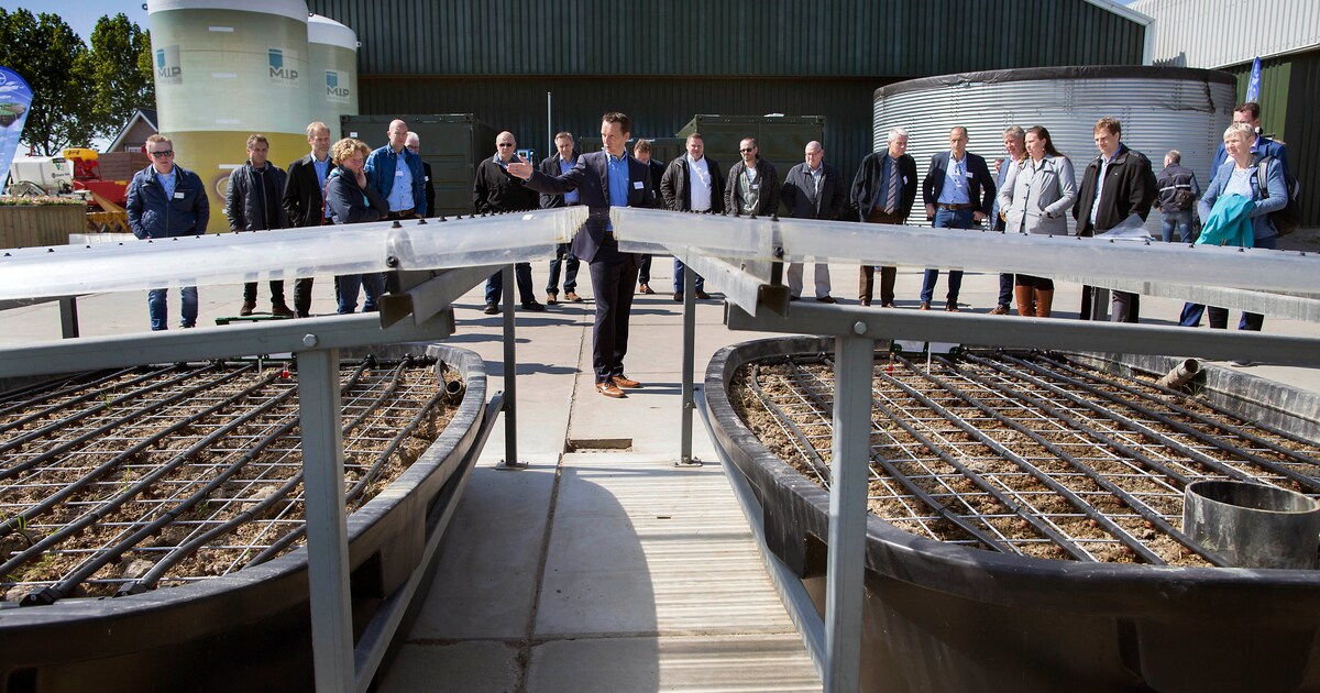Duurzame landbouw kan prima met pesticiden, vindt Bayer