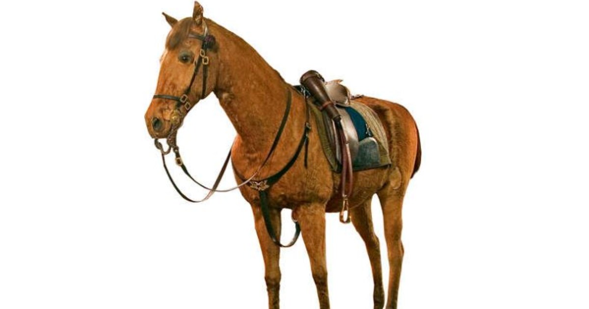 Deze bundel is voor historici een nuttige oefening in bescheidenheid