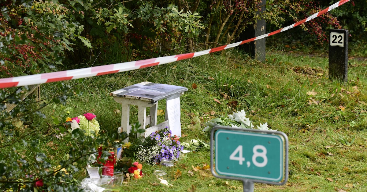 Zoon (14) in Katlijk bekent doodsteken ouders