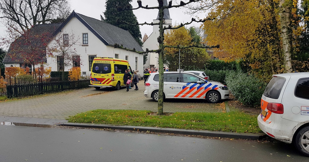Pianostemmer krijgt een jaar cel en tbs voor poging tot doodslag