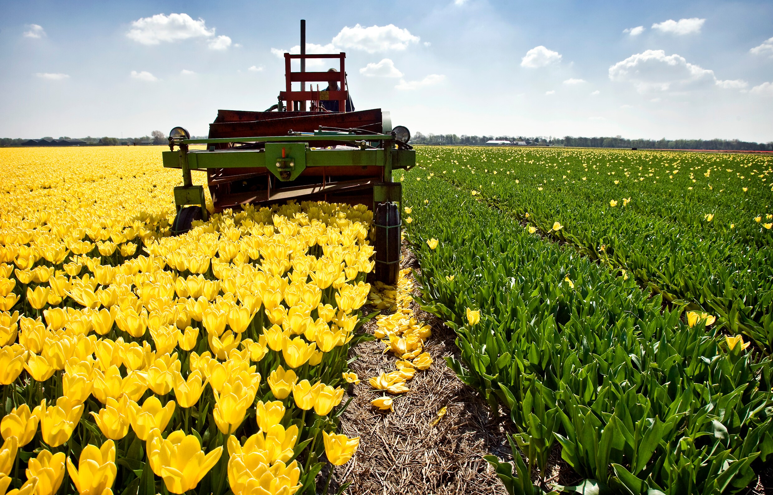 Waarom de Nederlandse ophef over de ‘WW-export’ overdreven is