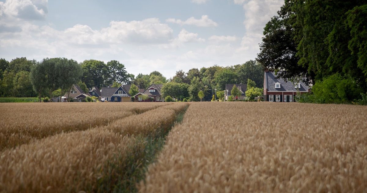 Het geheim van Witteveen, Drents dorp waarmee het wél goed gaat