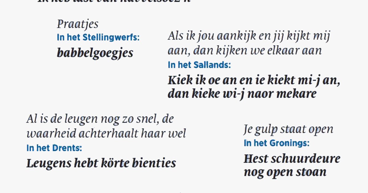 Het Nedersaksisch wordt niet gediscrimineerd