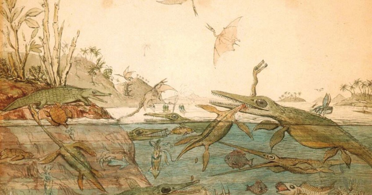 Charles Darwin wist het al: in de evolutie geven vrouwen de doorslag
