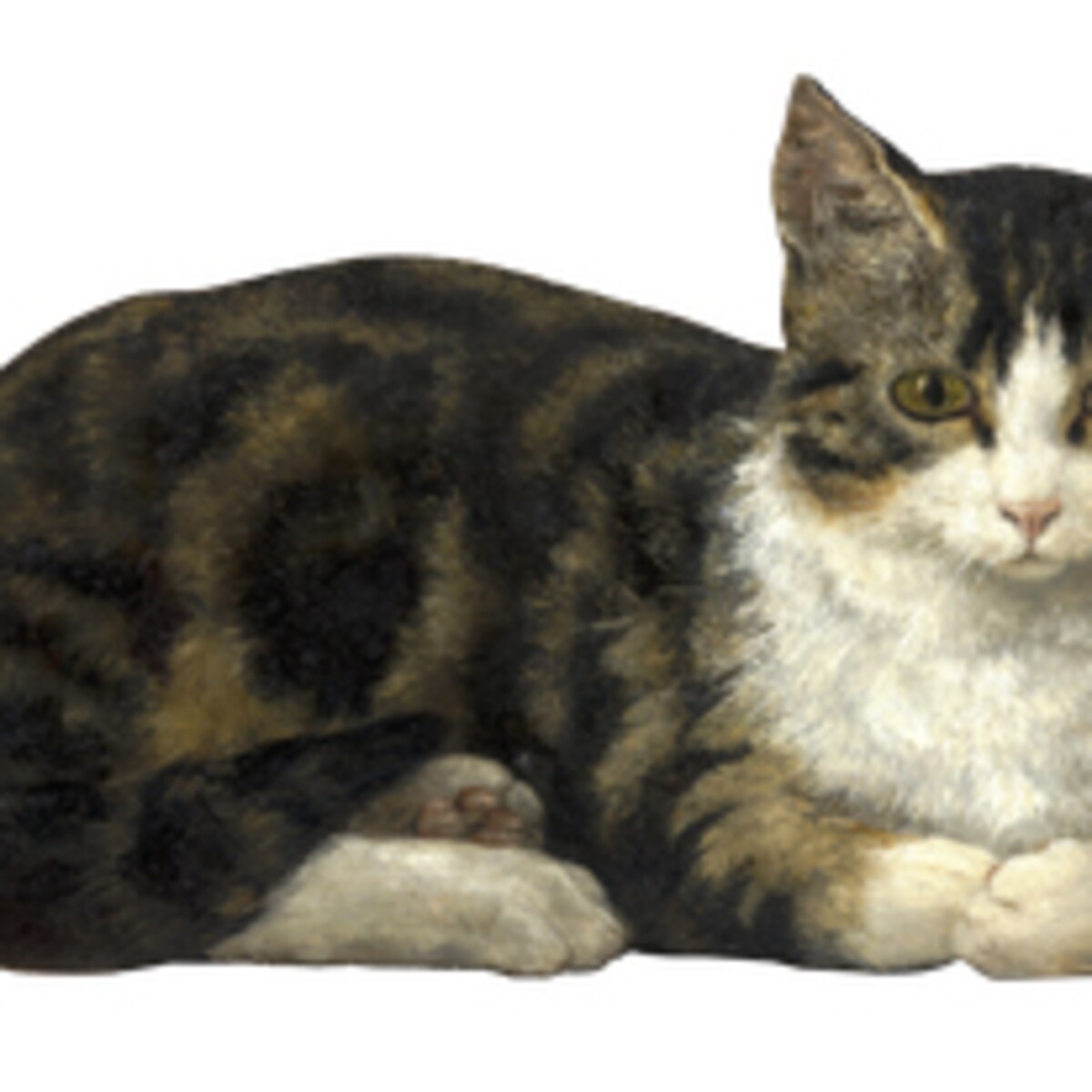Kattenmensen 1942 Nobleza J0B Kattenmand 2 In 1 Kattenhuisje
