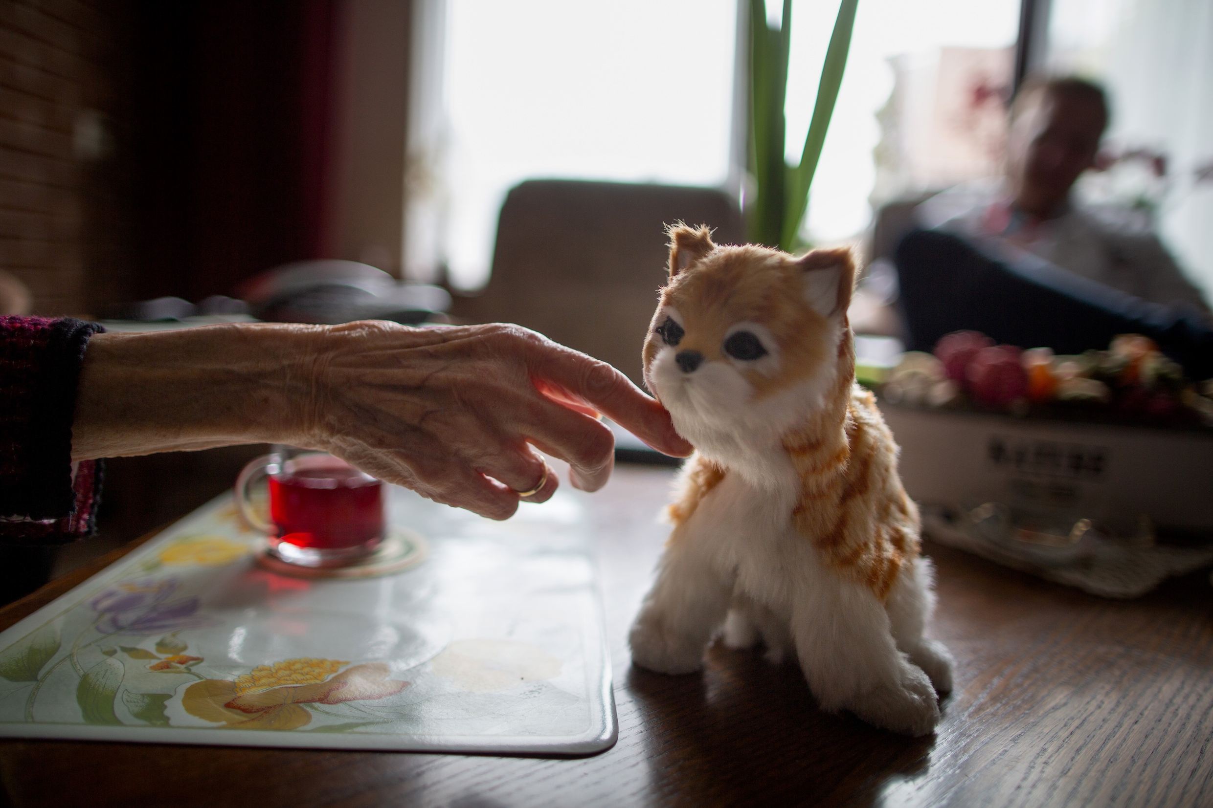 Knuffelen met een zorgrobot helpt tegen eenzaamheid