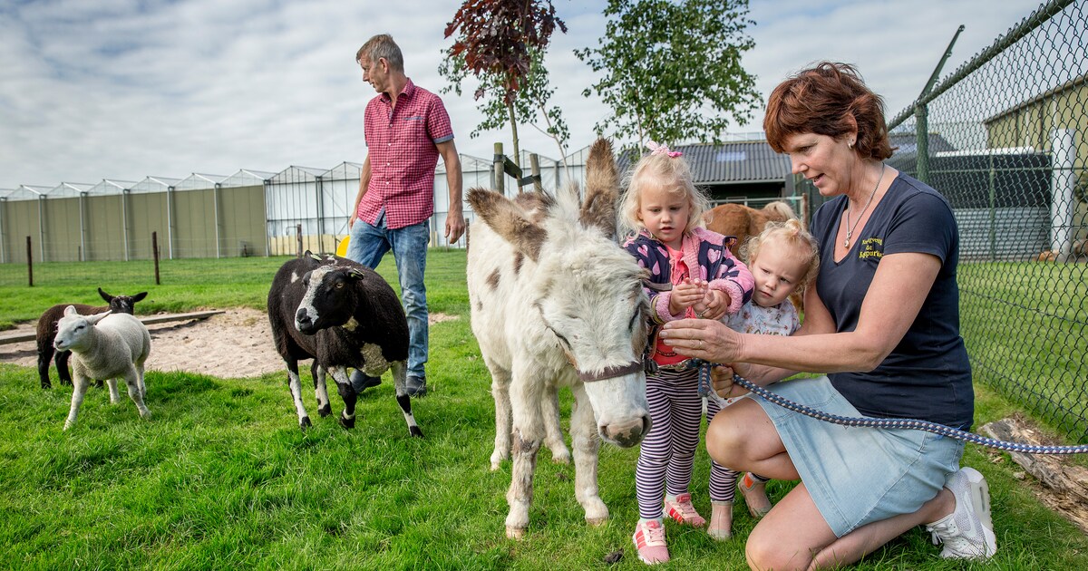 Elly en Kees zijn ‘multiboeren’ met een kinderopvang én tulpenbroeierij