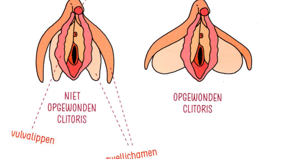 Over die orgasmekloof kun je het gewoon hebben | Trouw, image size:1200x675