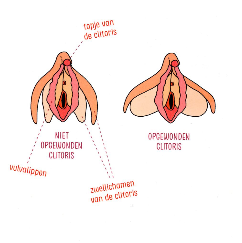 Over die orgasmekloof kun je het gewoon hebben | Trouw