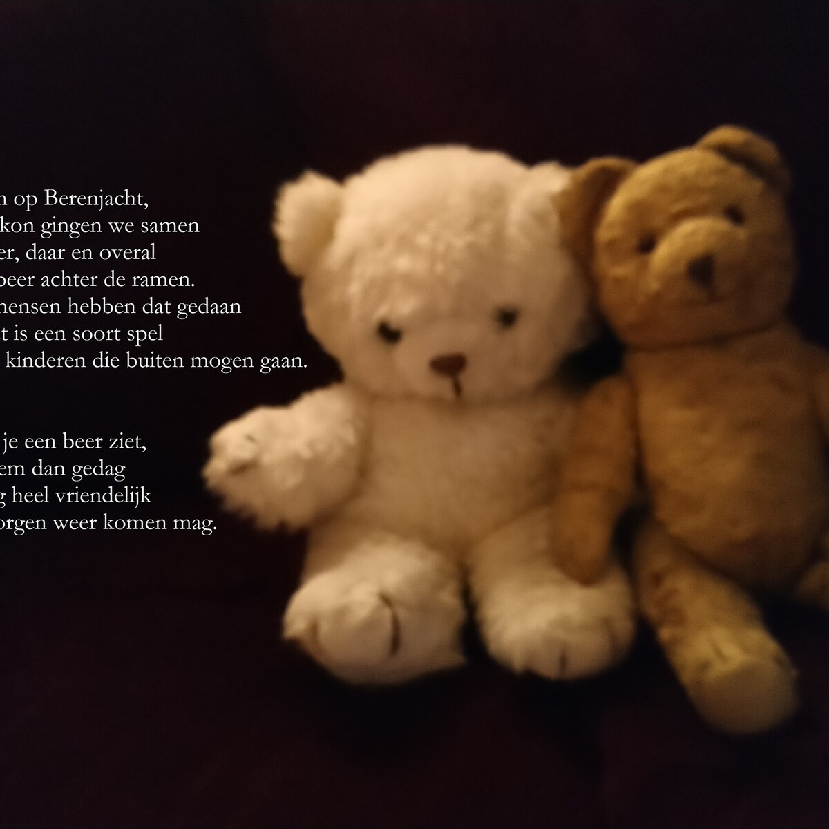 Een knuffelbeer achter elk raam maakt het dagelijkse luchtje scheppen tot  een ware berenjacht | Trouw