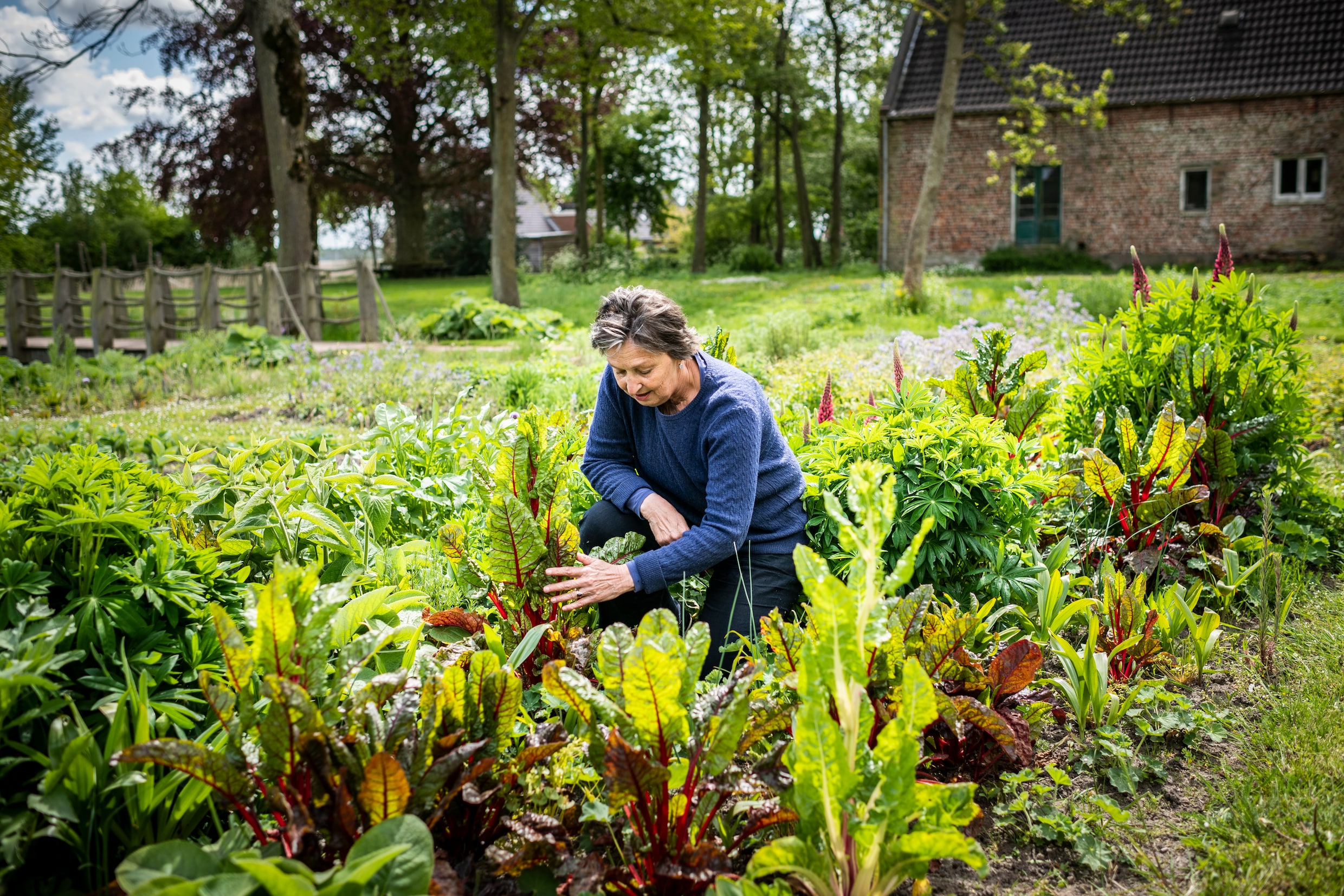 Coöperatie-oprichter Anne Hilderink in de kloostertuin.