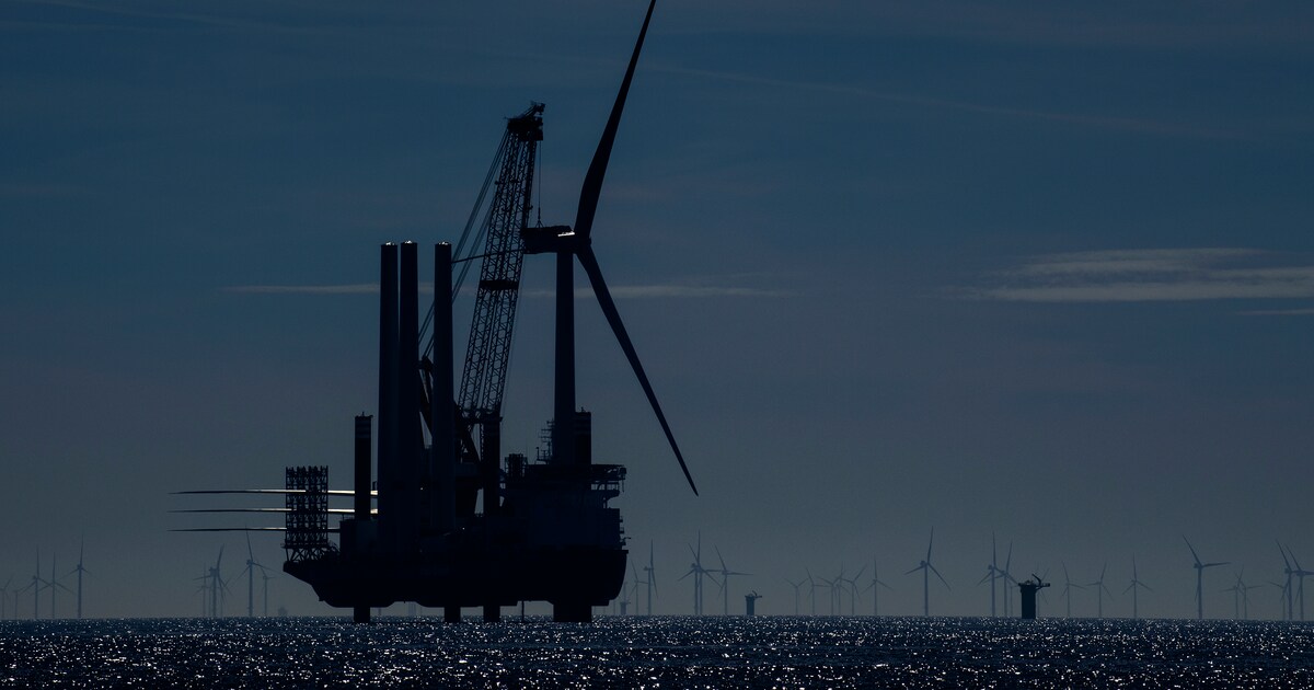 Windparken Borssele drie keer stilgezet voor vogeltrek