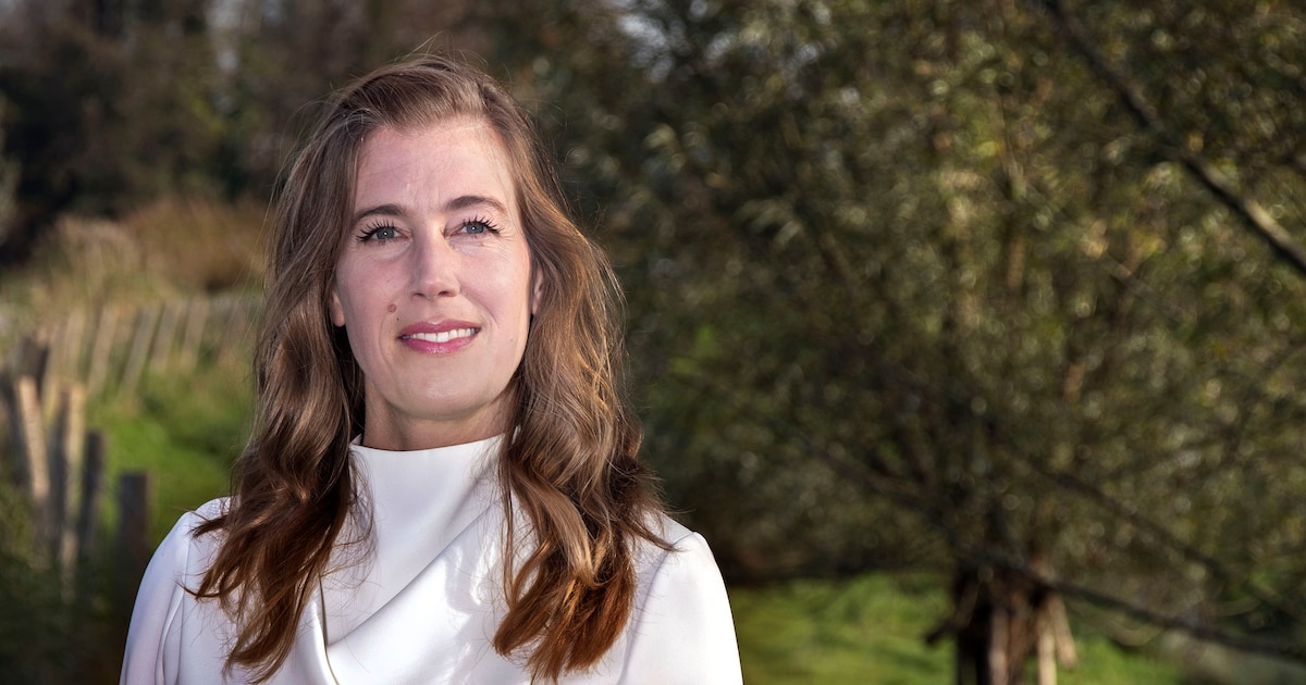 Ellemeet moet GroenLinks aan regeringsmacht helpen