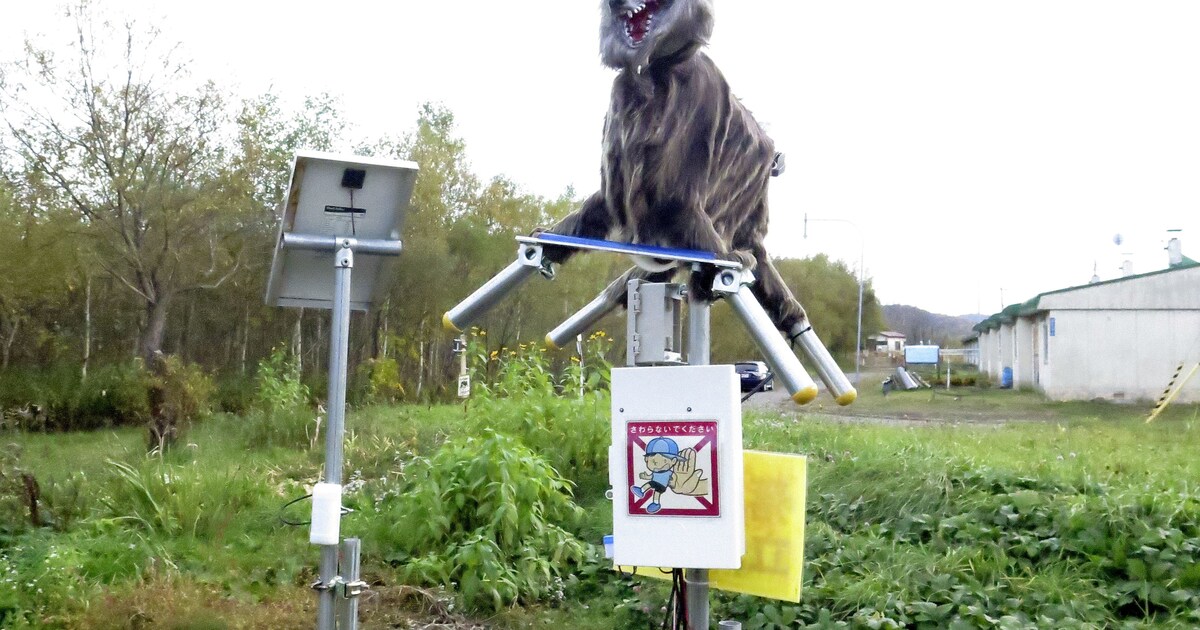 Angstaanjagende, krijsende Monster Wolf Robot moet Japanse akkers redden van beer