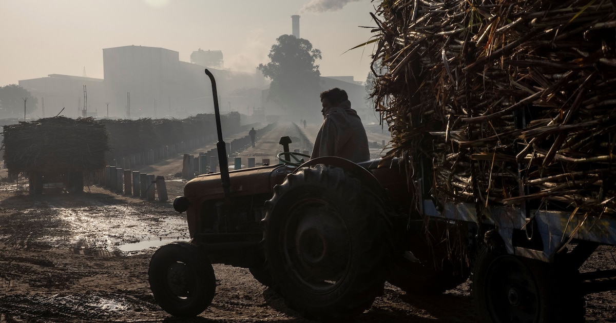 Nog steeds veel uitbuiting en ongelijkheid op de wereldwijde akkers voor onze voedselproductie