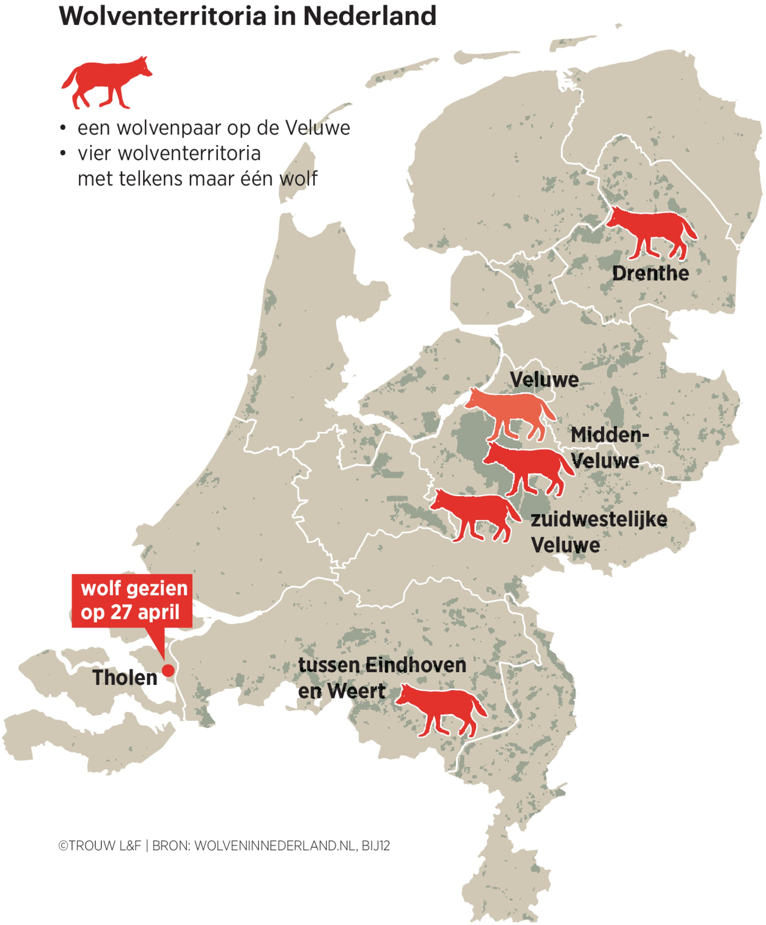 de-wolf-verovert-nederland-en-hij-gaat-niet-meer-weg-trouw