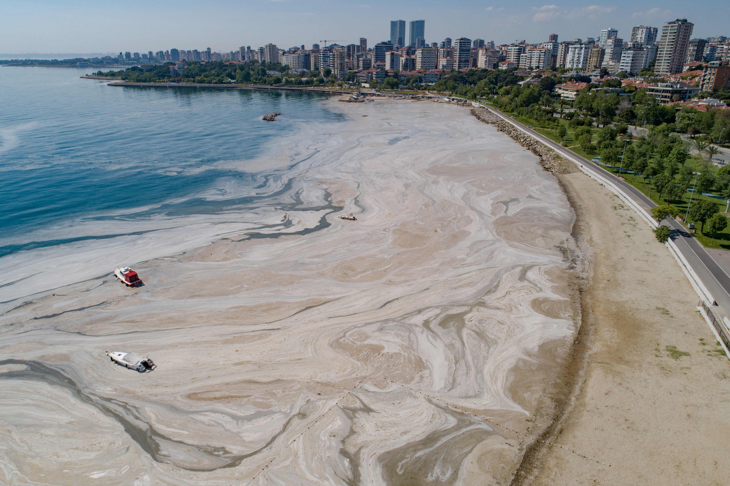 Zeesnot kwelt leven in zee en aan de Turkse kust | Trouw