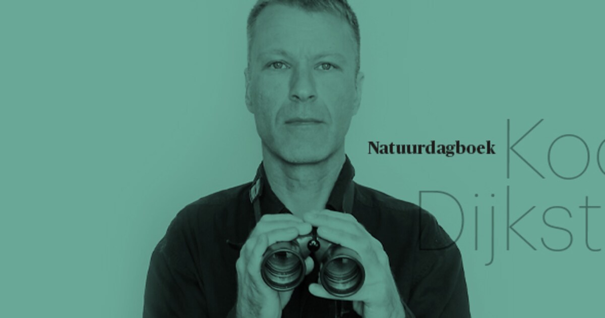 Volop lenteliederen in Oost- en in West-Duitsland