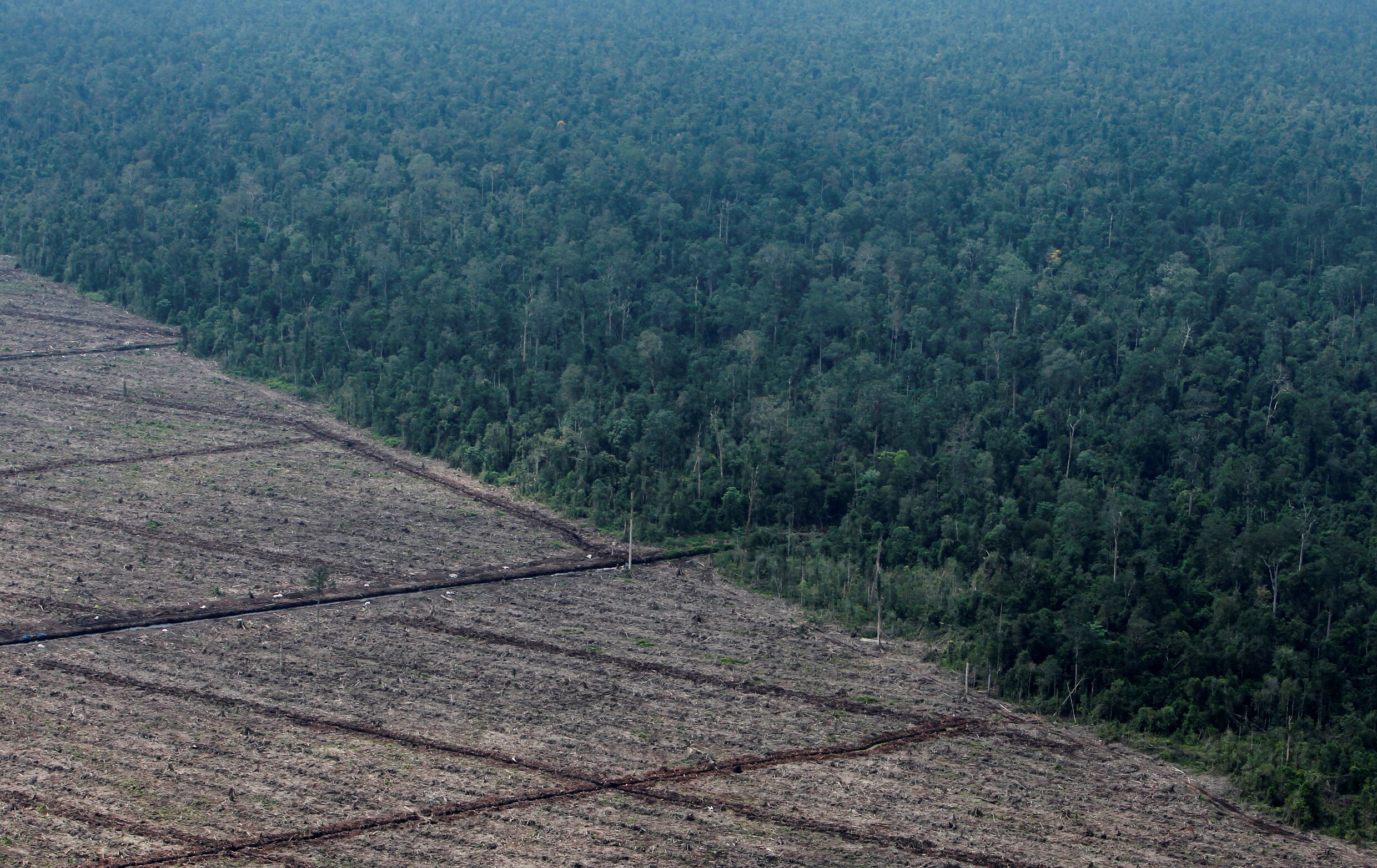 Ontbossing op Sumatra, in Indonesië