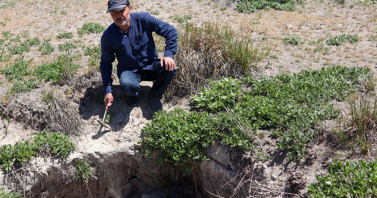 Anatolische boeren zien hun akkers verdwijnen in zinkgaten. ‘Het wordt steeds gevaarlijker’
