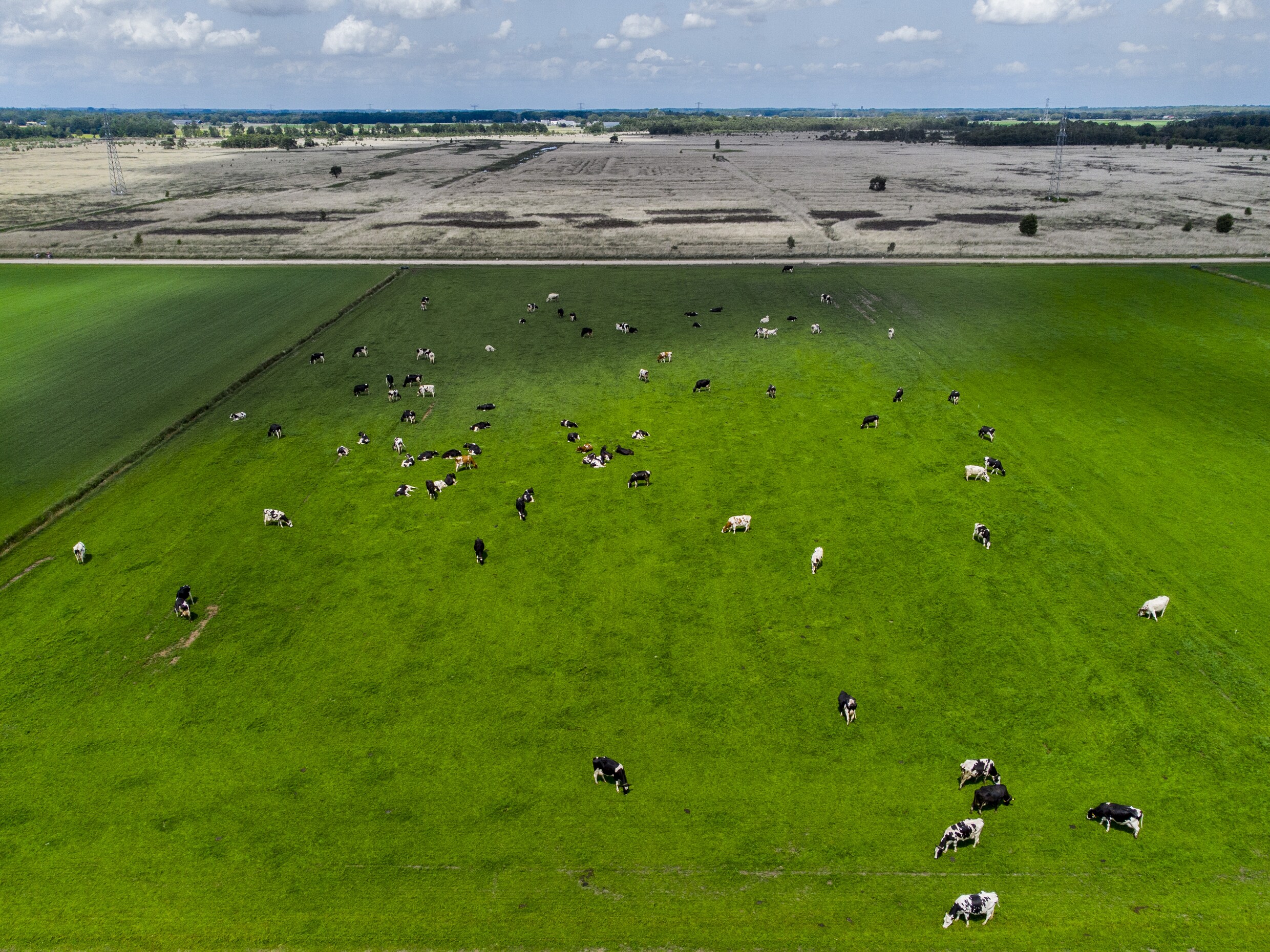 Het Zal Jaren Duren, Maar De Natuur Gaat Stikstofreductie Zeker Merken ...