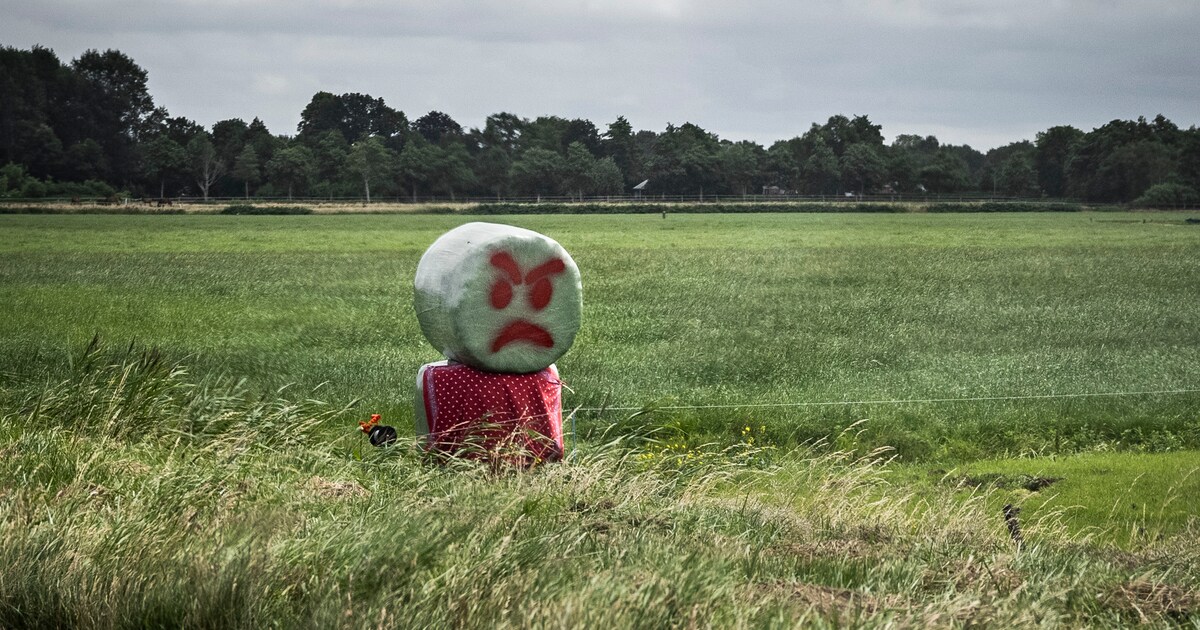 ‘Veel projecten liggen stil terwijl hun stikstofinvloed niet aan te tonen is’