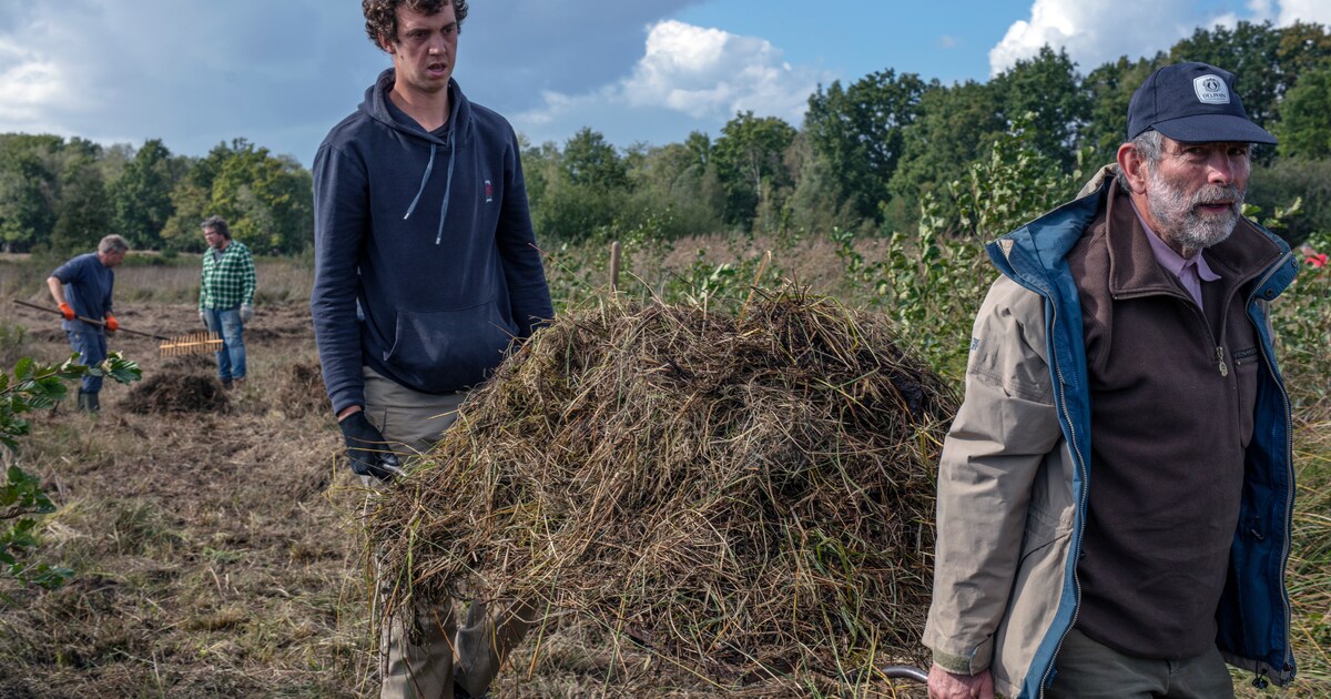 De Natuur Kan Niets Meer Hebben. ‘Ecologie Is De Weg Uit Stikstofcrisis ...