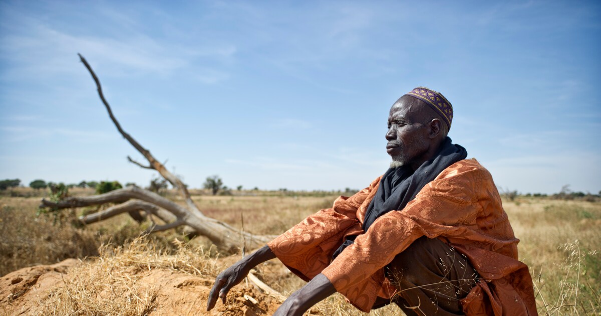 De woestijn rukt op in de Sahel, maar er is hoop op vergroening: ‘We weten nu hoe het moet’