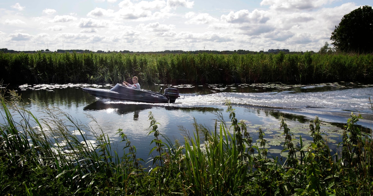 Waterrecreatie verstoort de natuur. ‘Watervogels krijgen hier nauwelijks nog jongen groot’