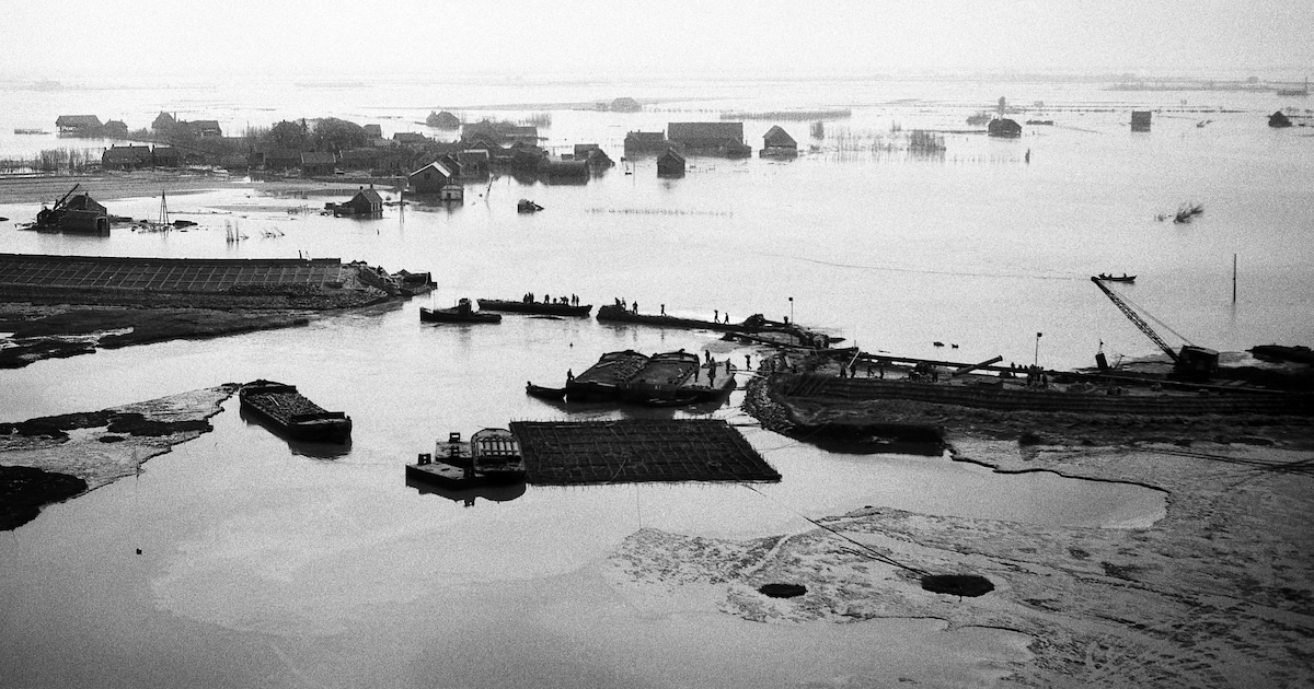De zee de ruimte geven? Dat gaat in tegen de intuïtie en logica van de Zeeuwen