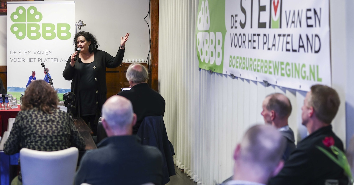 BBB scoort hoog in de peilingen. Maar kun je wel samenwerken met de partij?