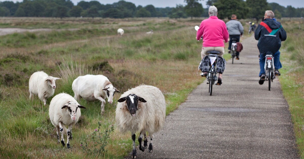 Een weekendje naar Wapserveen, maar hoe kom je daar zonder auto?