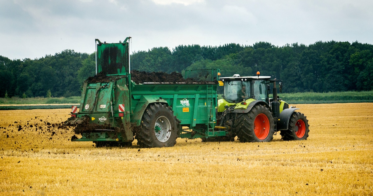 Brussels is reaching out to the Netherlands and wants to allow a manure solution