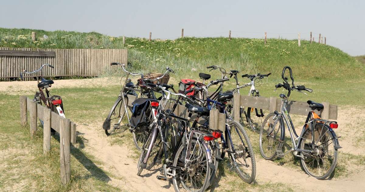 Zo Vind Je De Mooiste Groene Routes Voor Een Fietstocht In Eigen Land