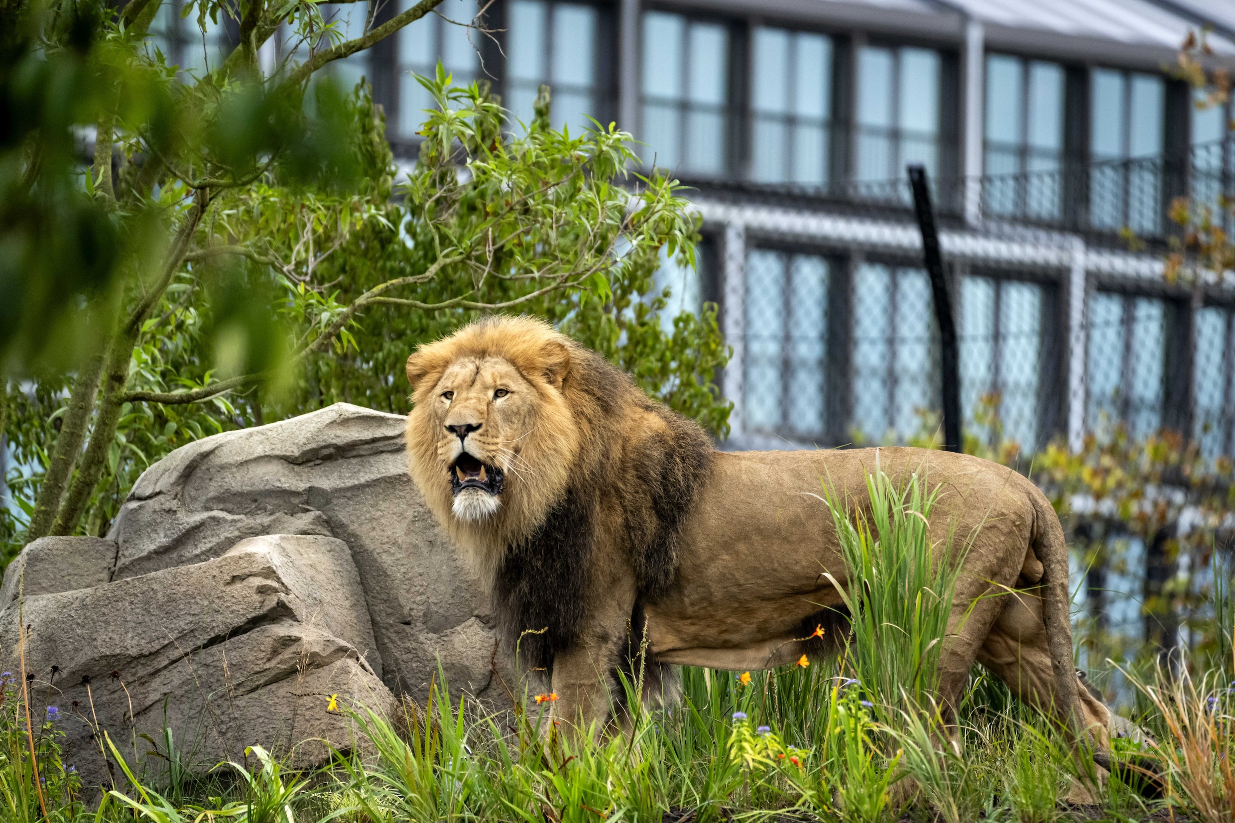 De dierentuin is echt niet meer van deze tijd | Trouw