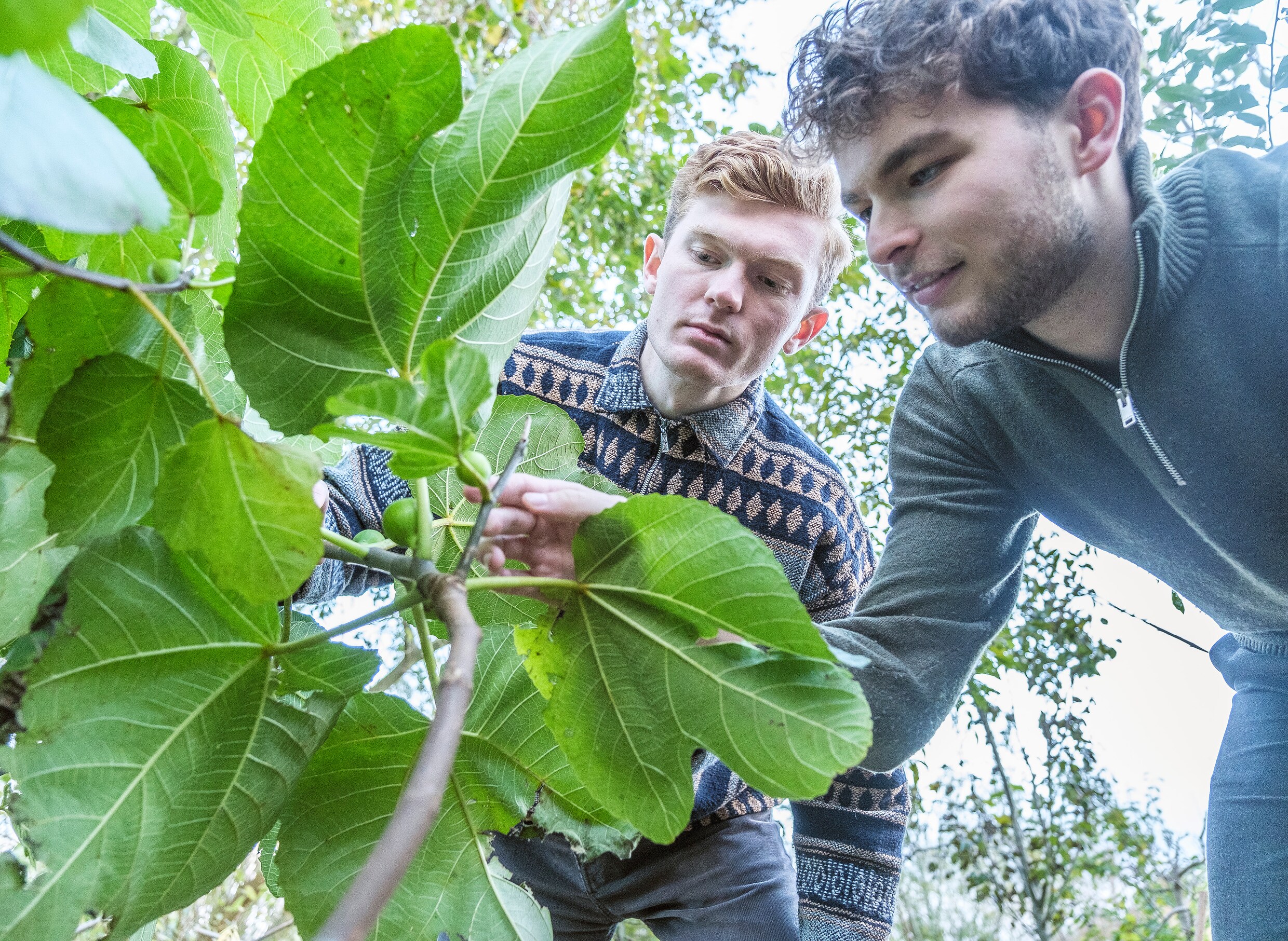 UvA-studenten bedachten een nieuw keuzevak: voedselbosbouw | Trouw