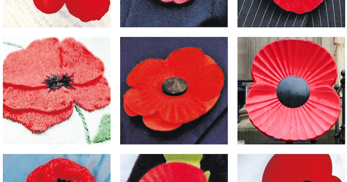 Poppy Symbool Van Rouw N Hoop Trouw