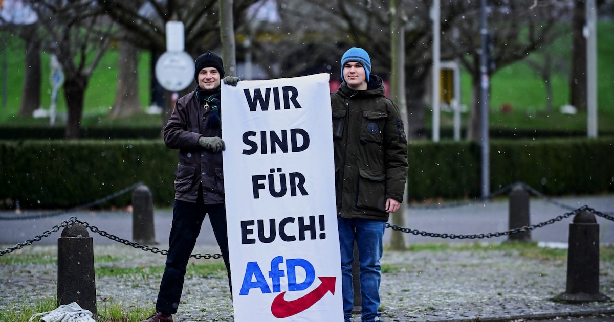 Deutschlands AfD spricht mit österreichischem Extremisten über Massenausweisungen