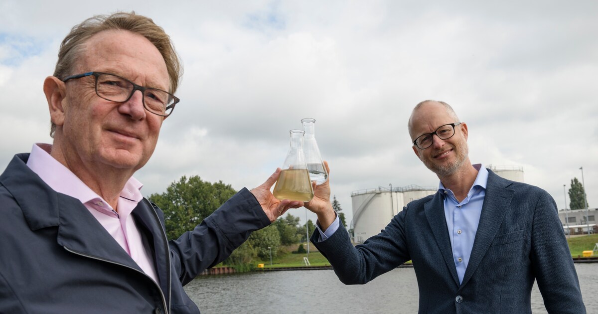 Schell Toebehoren - Zuiger met naald voor het reinigen van sproeiers