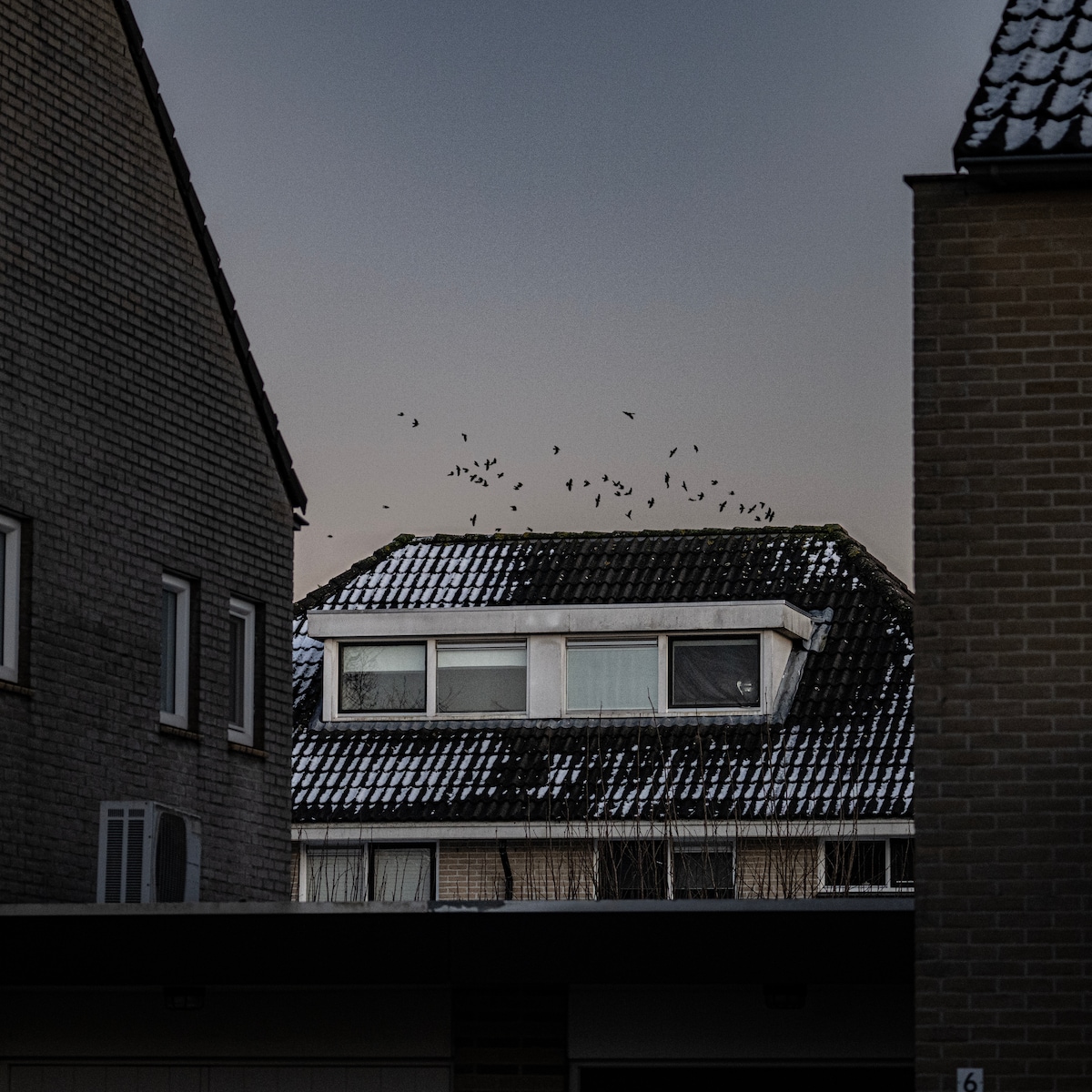 Hengeloërs dachten hun geld aan een crypto-genie toe te vertrouwen. Dat  bleek een fout | Trouw