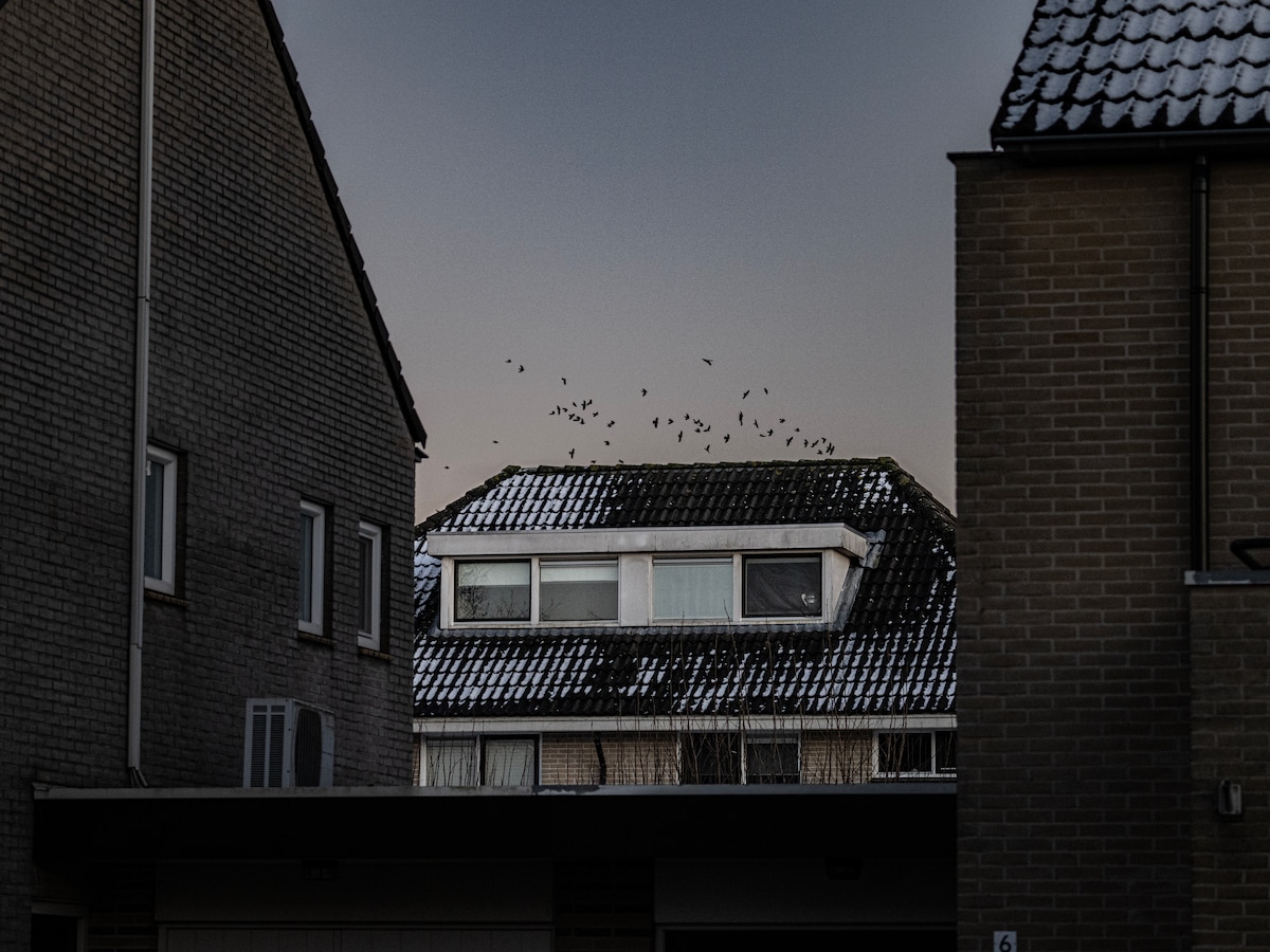 Hengeloërs dachten hun geld aan een crypto-genie toe te vertrouwen. Dat  bleek een fout | Trouw