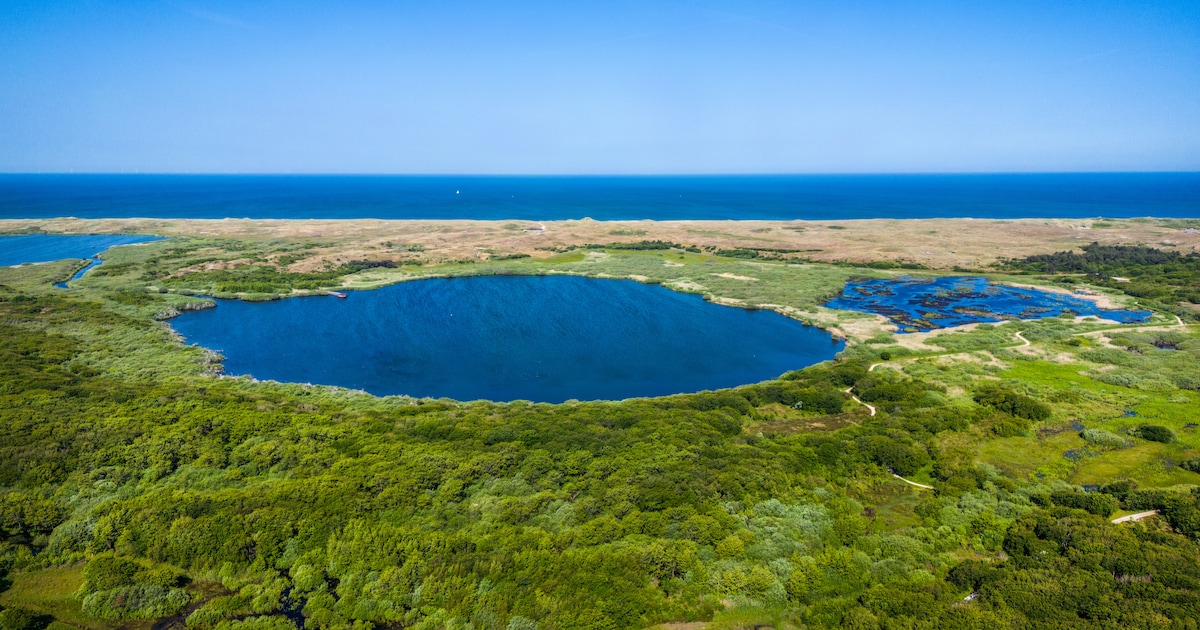 Verboden landbouwgif in het Zwanenwater verdwijnt niet zomaar