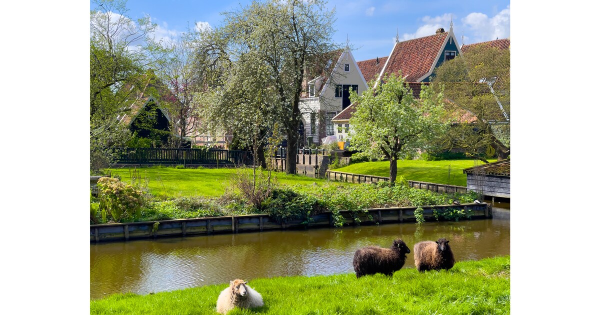 (De) Rijp voor de lente: vaar het voorjaar tegemoet met een fluisterboot