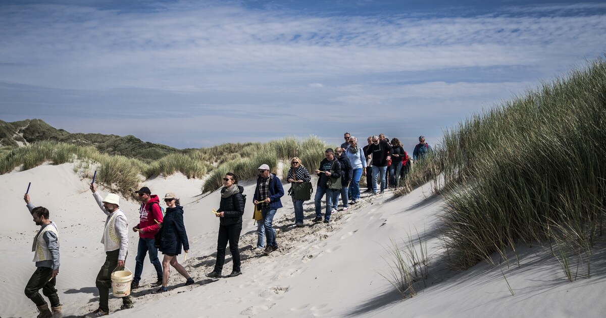 Oerol 2024: vallende bijlen, wandelende strandbeesten, feesten voor een betere wereld én heel veel r
