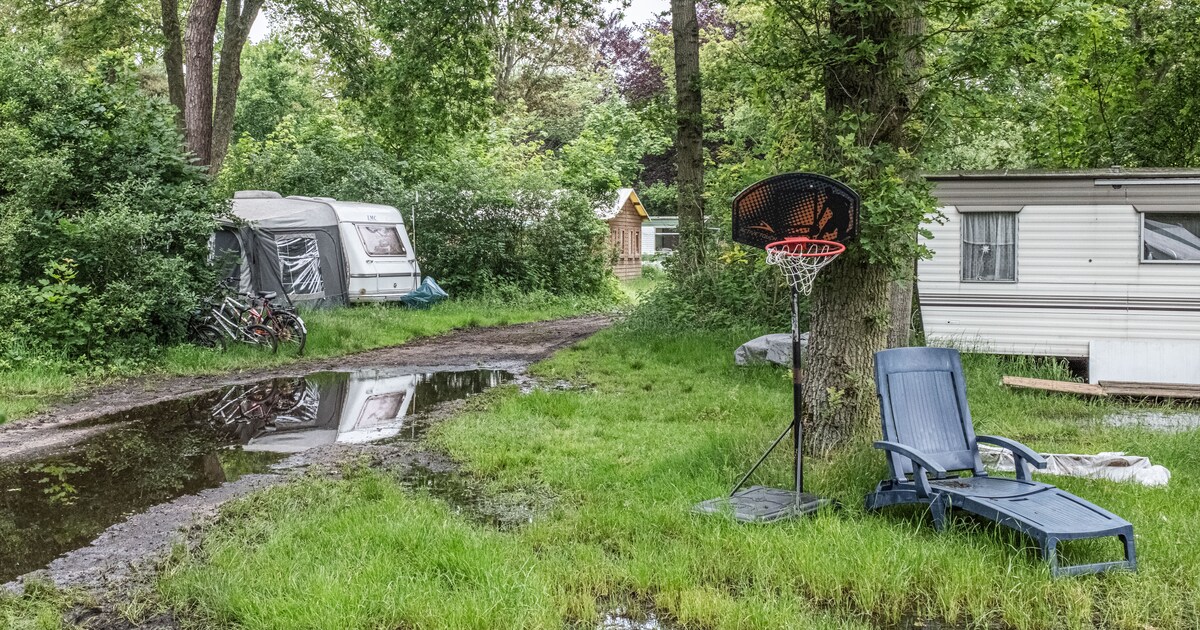 Minder kampeerders in 2024, waarschijnlijk vanwege nat voorjaar