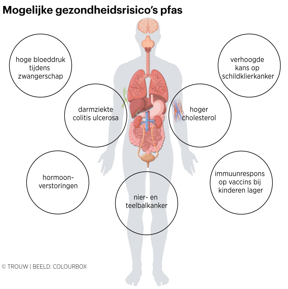 De pfas die we binnenkrijgen heeft al gevolgen voor de gezondheid. Hoe erg is dat? | Trouw
