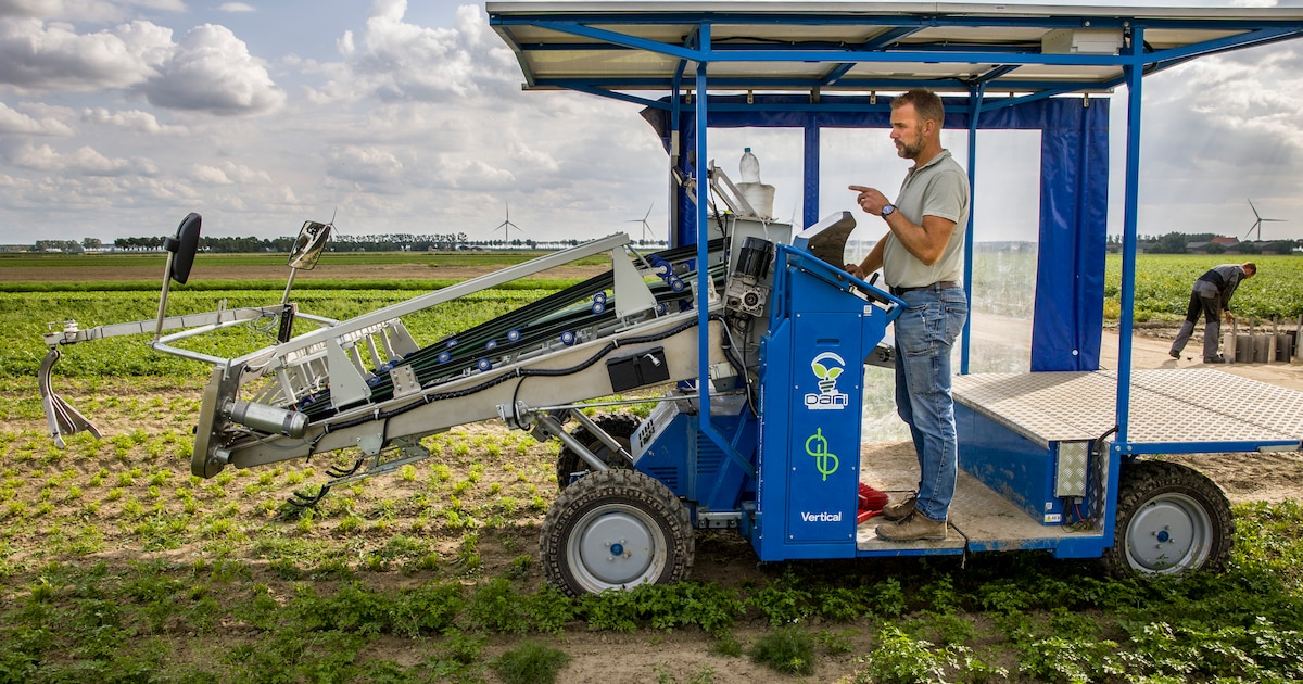 Banen zijn niet zo gemakkelijk met een robot weg te innoveren