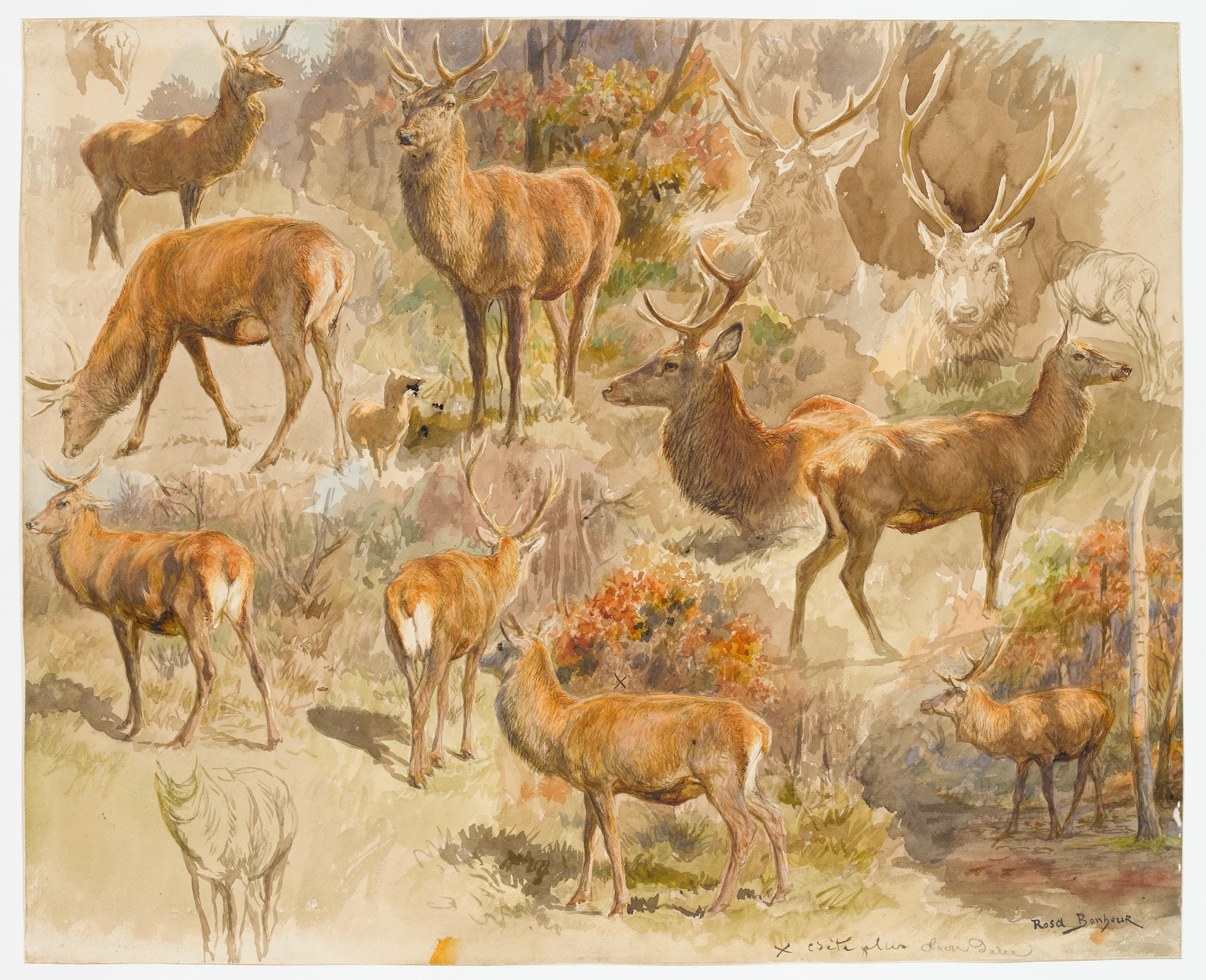 Dierenschilder Rosa Bonheur wandelde iedere ochtend met haar eigen ...