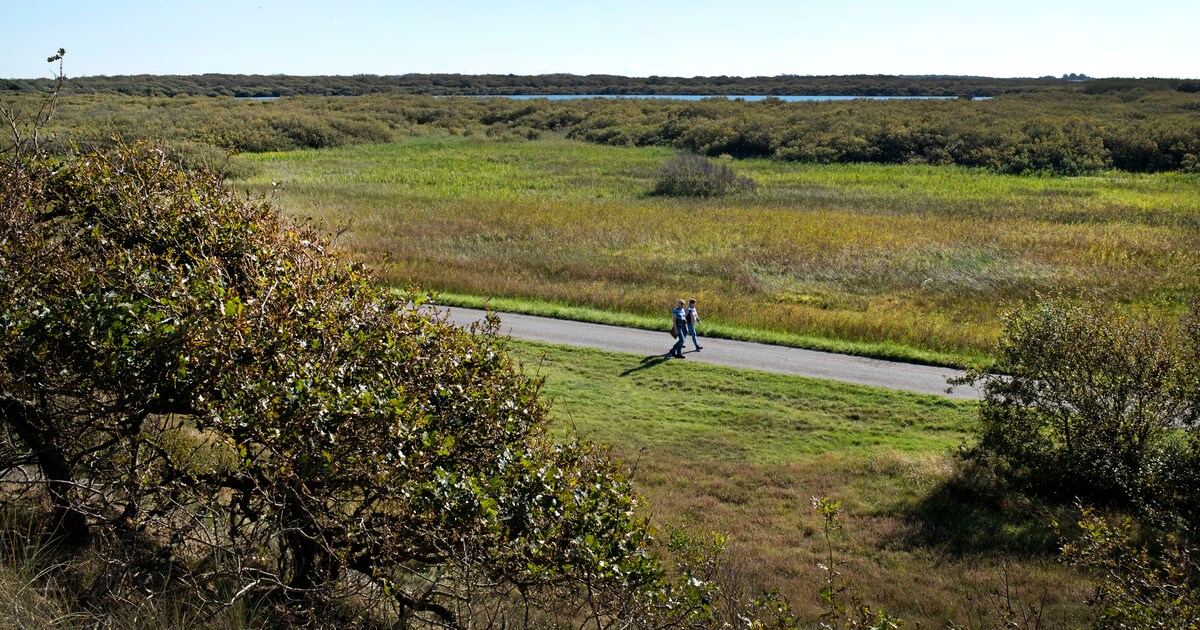 Is dat wel verstandig, natuurgebieden omtoveren tot oefenterrein voor defensie?